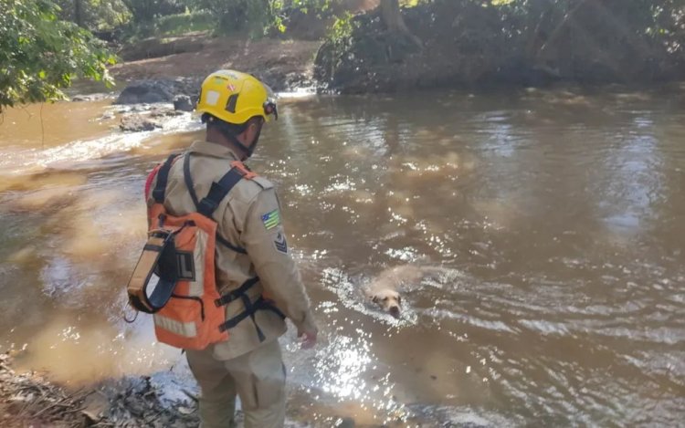 Corpo de idoso é encontrado em rio após desaparecer durante pescaria com amigos